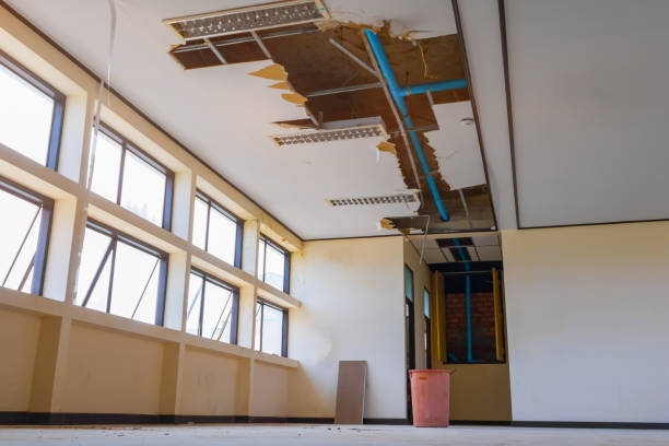 Best Carpet water damage restoration  in Lebanon, KY