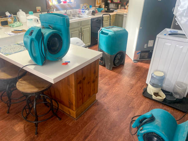 Best Basement water damage restoration  in Lebanon, KY