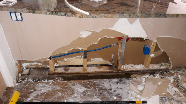 Best Professional water damage repair  in Lebanon, KY
