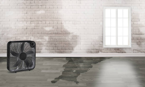 Best Sewage cleanup and water damage restoration  in Lebanon, KY