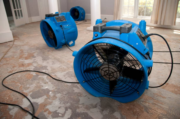 Water damage restoration insurance claims in Lebanon, KY