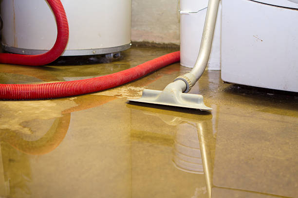 Water damage restoration mold remediation in Lebanon, KY