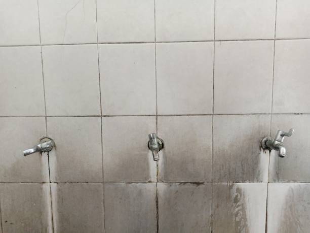 Best Flood damage cleanup  in Lebanon, KY