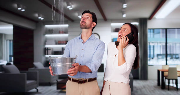 Best Water damage restoration insurance claims  in Lebanon, KY